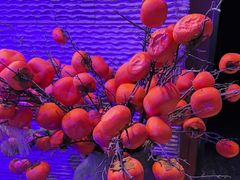 -山里屯铁锅炖·东北菜(康桥店)