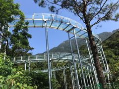 -牛鱼嘴原始生态风景区