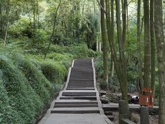 -青城山