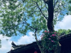 -安仁古镇