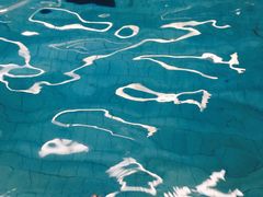 -牡丹游泳馆(金山馆)