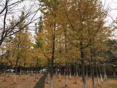 -苏州大学独墅湖校区-第5食堂