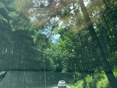 -洛阳白云山景区