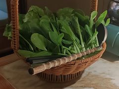 -佬肥猫(国华广场店)