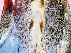 -新疆风味冷水鱼庄(友谊峰路店)