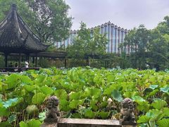 -上海醉白池公园