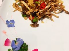 -蝶园·装修中(BFC外滩金融中心店)