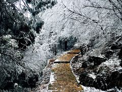 -莫干山风景区