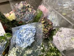 -鹿岛生活(熙地港店)