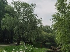 -共青国家森林公园-售票处