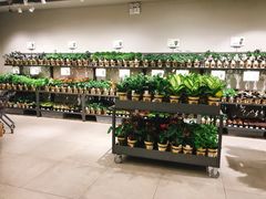 -鹿岛会员店 (龙湖三千集天街店)