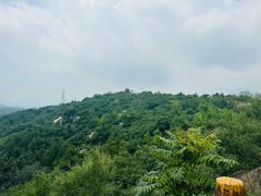 -白水寺森林公园