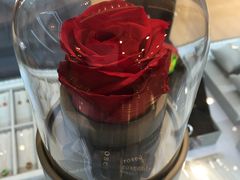 -ROSEONLY诺誓(国际广场购物中心店)