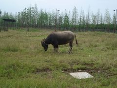iphone_upload_pic-田园东方蜜桃村的田野营地