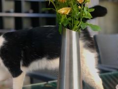 -厦门良筑精品酒店(厦门中山路店)