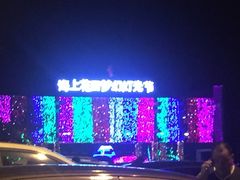 -杭州湾海上花田景区