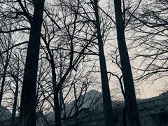 -阳台山自然风景区