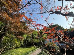 -上海醉白池公园