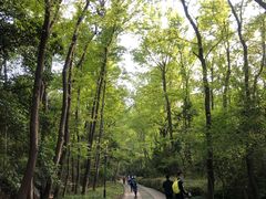 -紫金山山顶公园