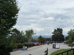 -富田农场