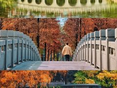 -四海公园(南山区)