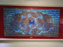 -上海昆虫博物馆