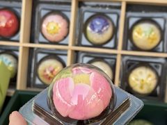 -稻香村(观前街店)