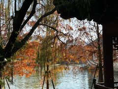 -江心屿景区