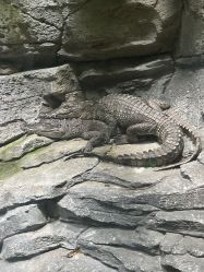 -Zoolung Zoolung动物主题公园(海信广场店)