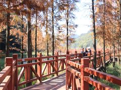 -广州市石门国家森林公园