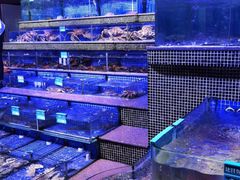 -青蓬蒸汽海鲜·深圳老字号·团建聚会(壹方城店)