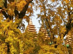景点-北京石刻艺术博物馆(五塔寺)