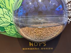 -百威中国啤酒博物馆