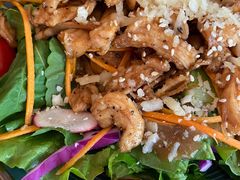 日式照烧鸡肉沙拉-萨尔瓦多Salvador's