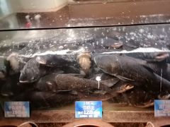 -上名堂·鱼头好吃(体育场路店)