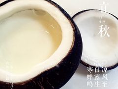 -志龙皇冠吃货椰子铺