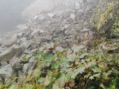 -九峰山