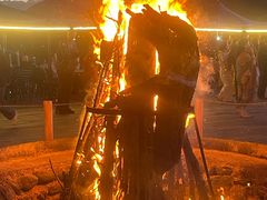 -喀纳斯鸿福生态度假酒店