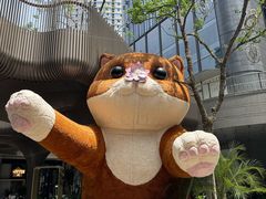 -观音桥步行街