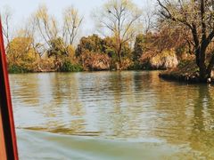 -西溪国家湿地公园