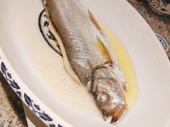 -南京大牌档(龙湖长楹天街店)