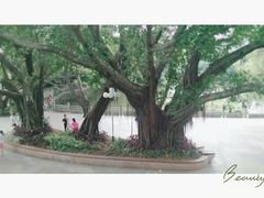 -人民公园(罗湖区)