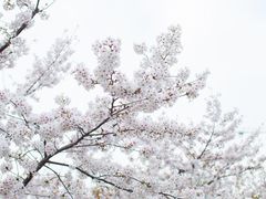 -龙美术馆(西岸馆)