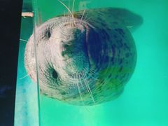 -嘉兴海底世界