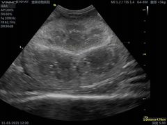 -拜鲁耶动物诊疗中心·宠家动物医院