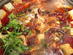 -师烤·豆花烤鱼(广州荔湾扬韬广场店)