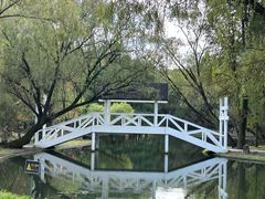 -上海共青森林公园