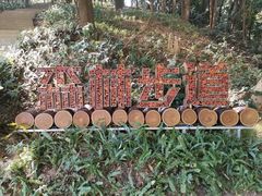 -广州市帽峰山景区