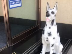 -松子料理(白家庄店)