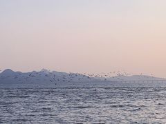-深圳湾公园(南山区)